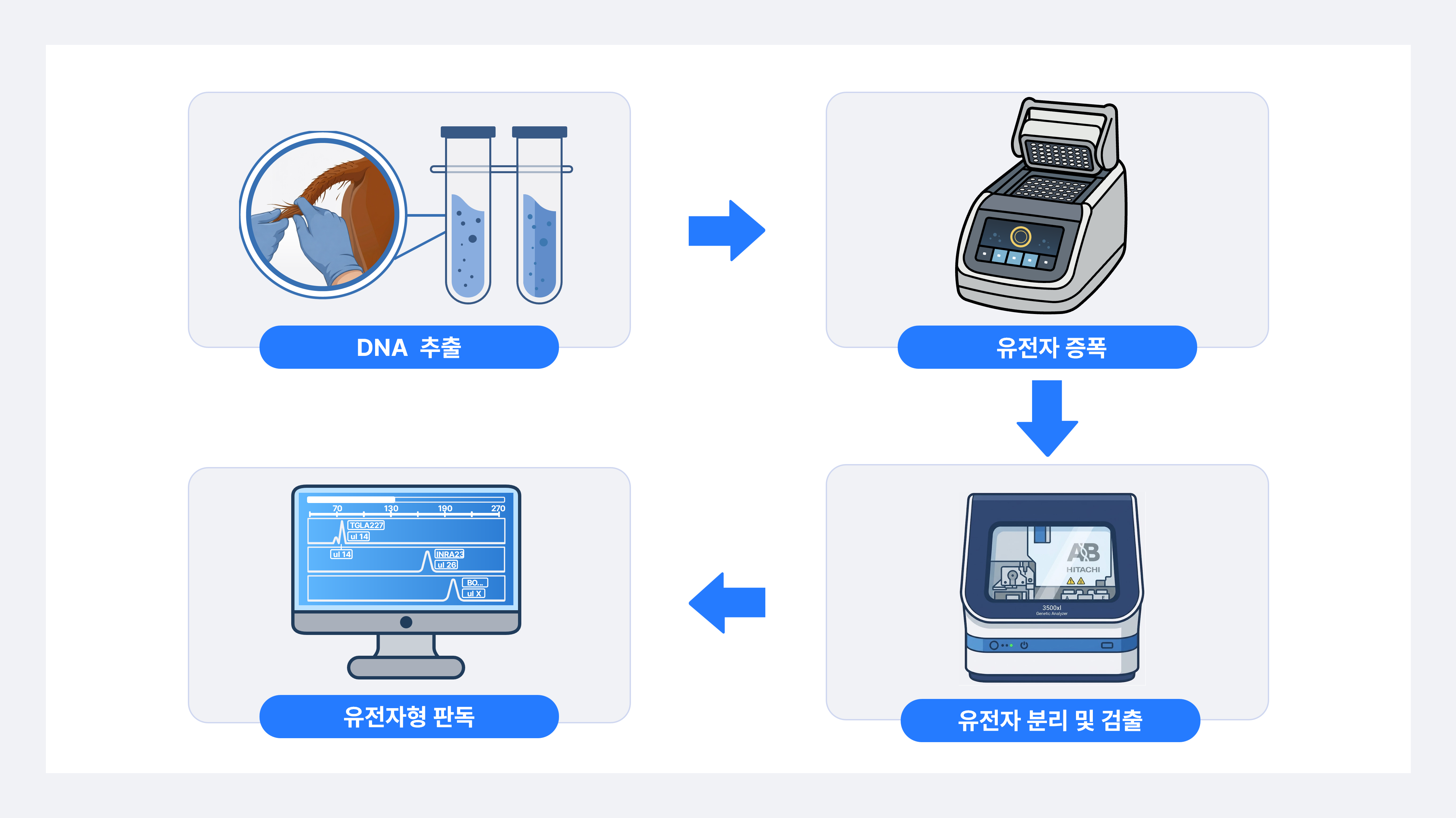 친자검사 방법 설명 이미지